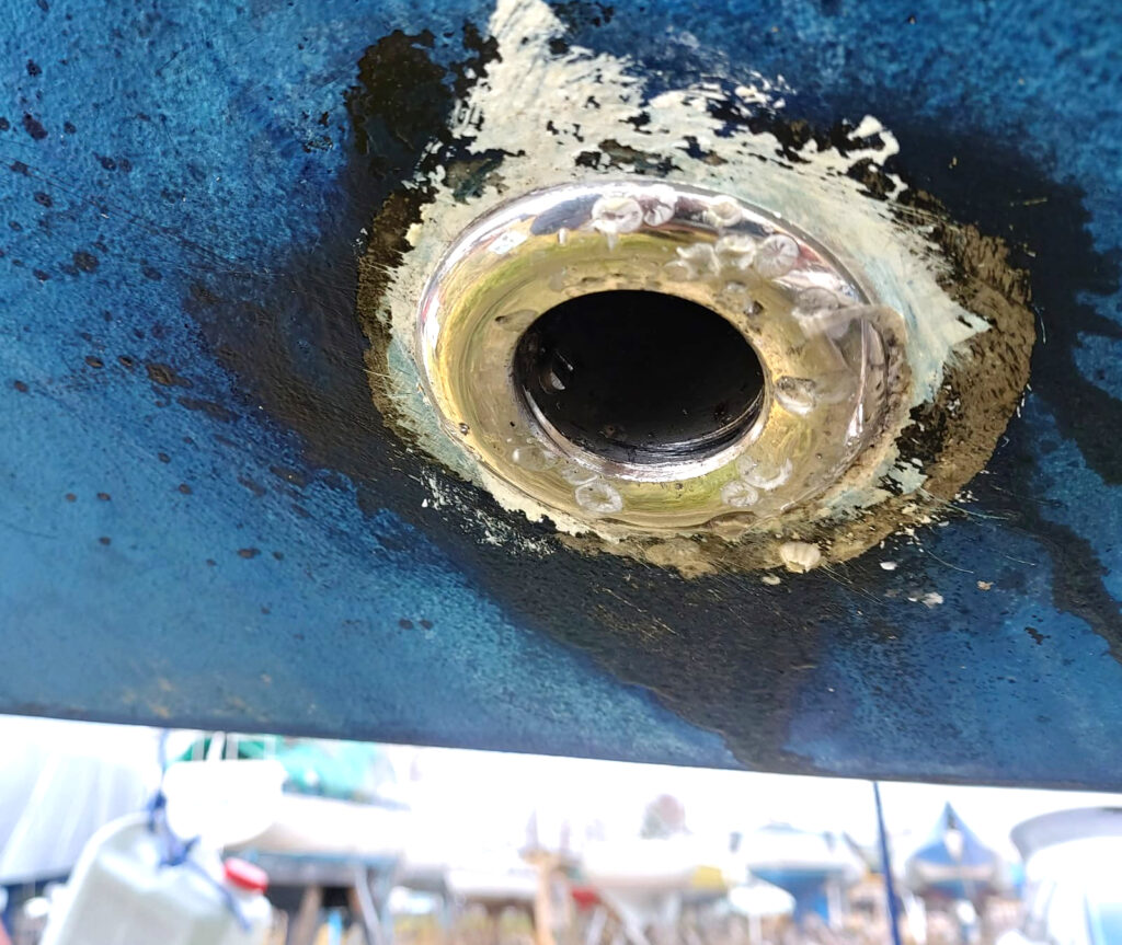 Rosteril'pivienti ulkoapäin kuvattuna sinisessä pohjassa.