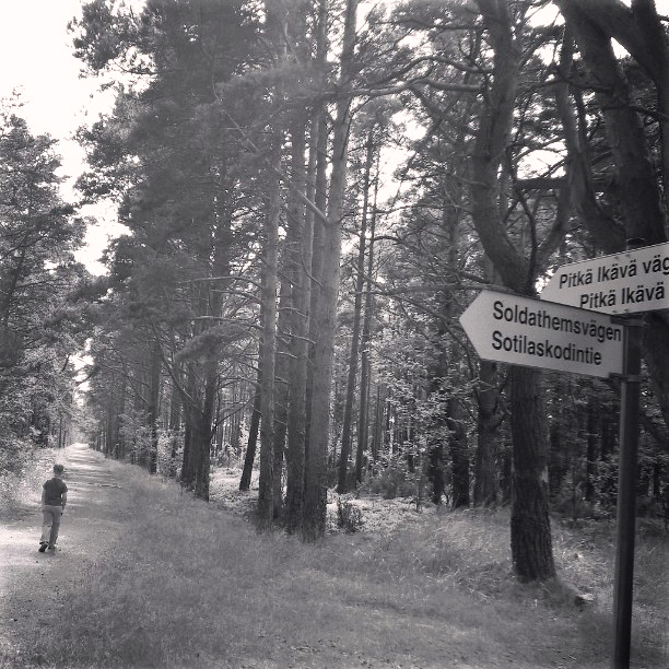 Mustavalkoinen kuva, jossa poika kävelee metsäpolkua. Kyltissä lukee Pitkä Ikävä