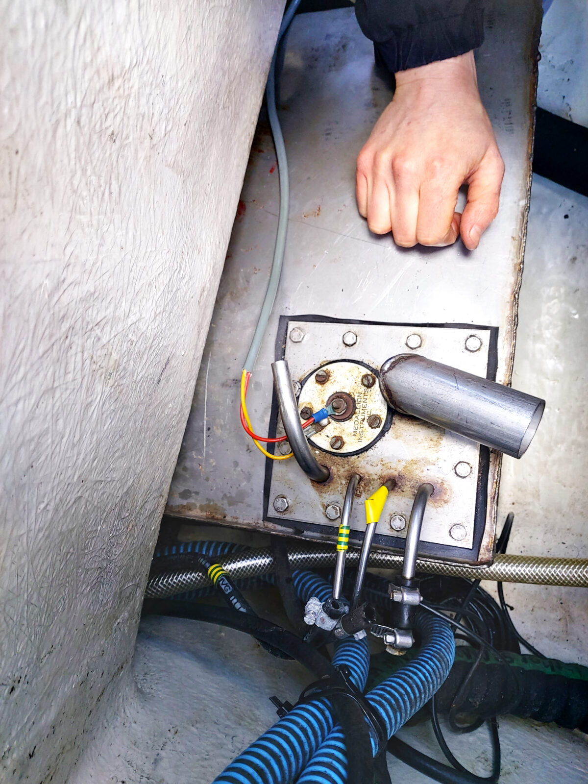 Telakal eka, telakal vika