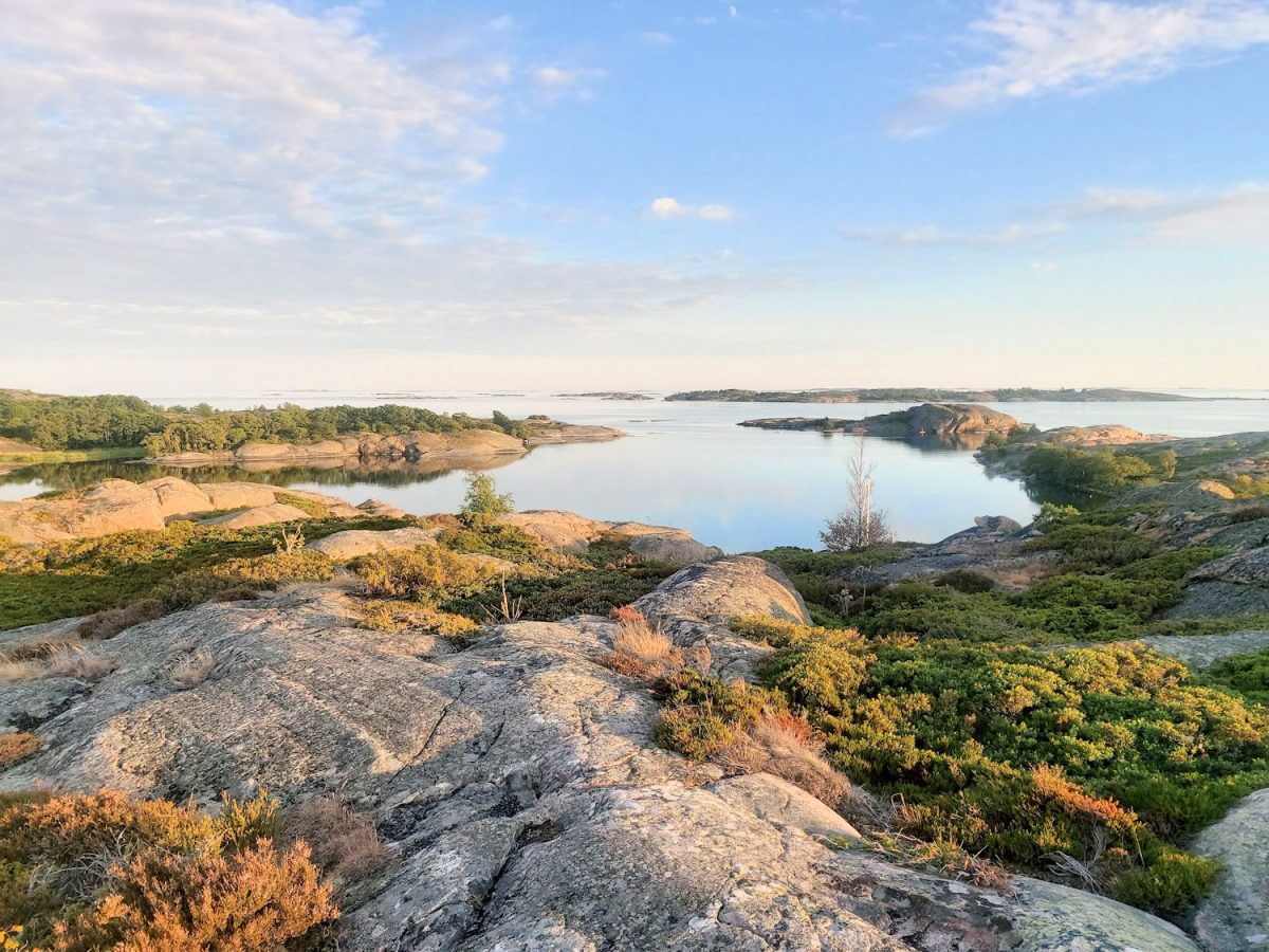 Vuoden 2023 kohokohdat ja parhaat hetket